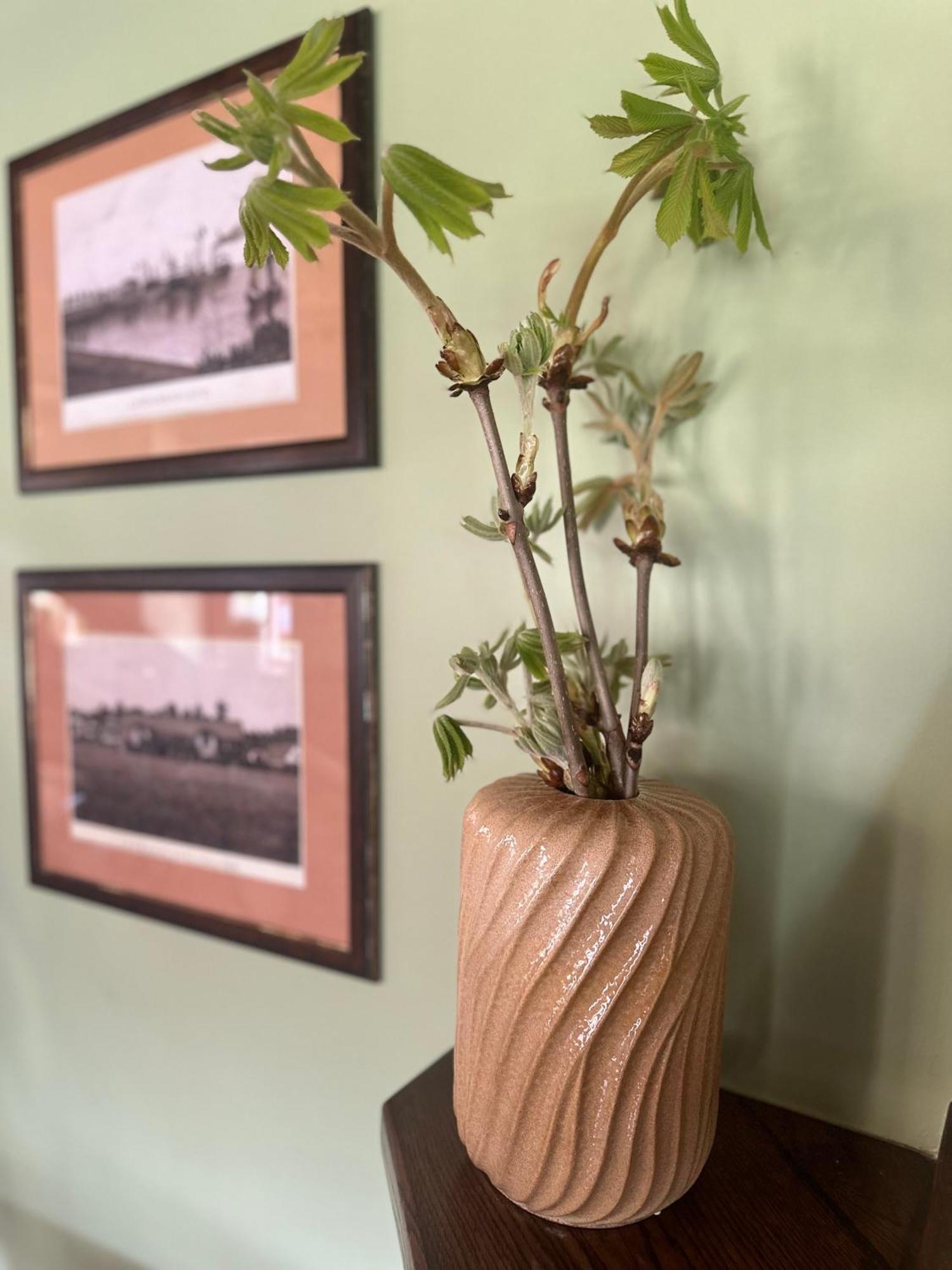 Vila Flora Juodkrantė Exteriér fotografie